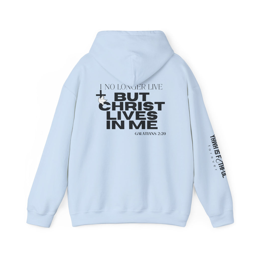 Made New in Christ Hoodie