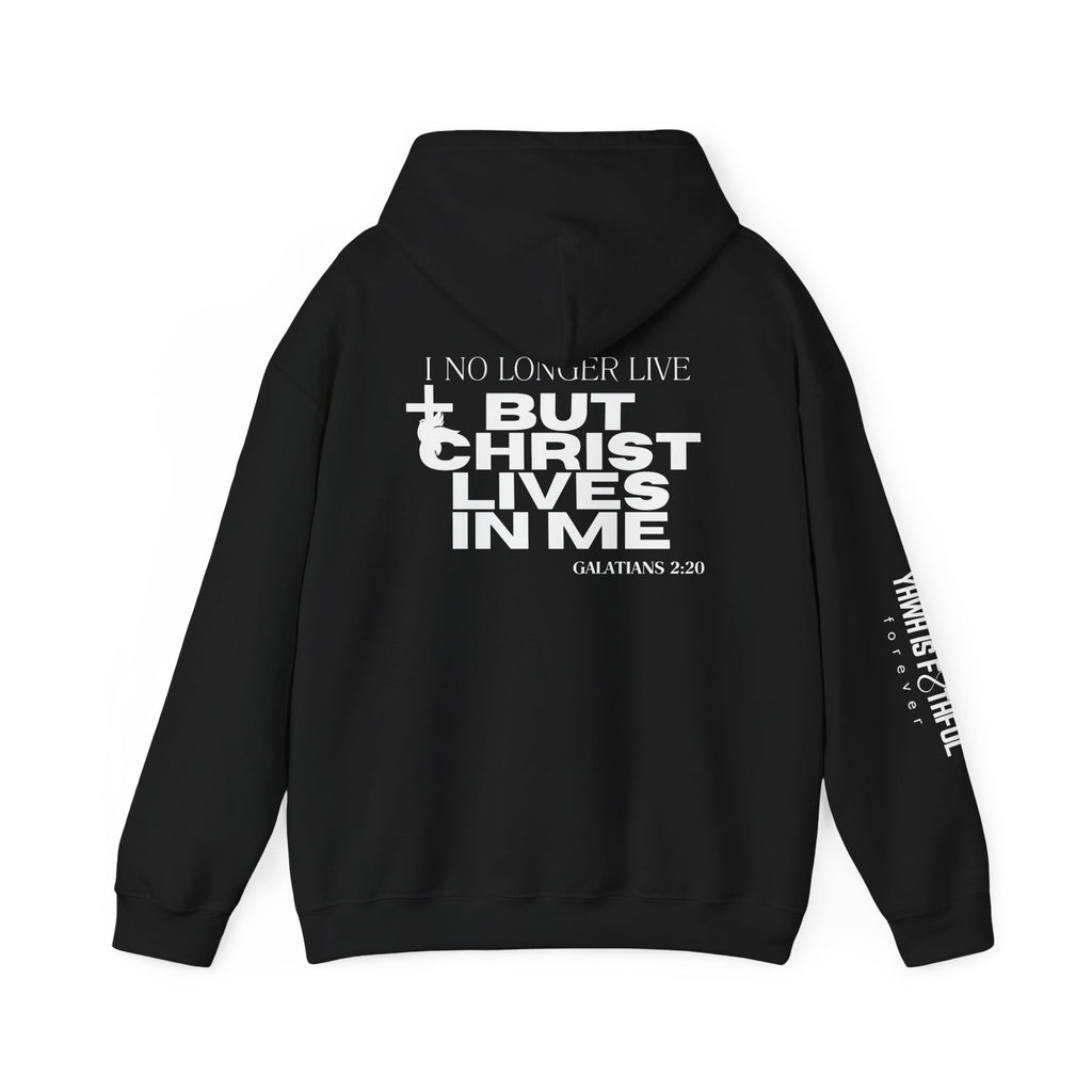 Made New in Christ Hoodie