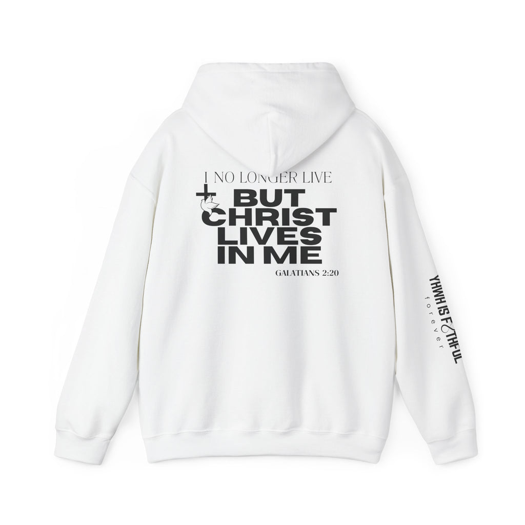 Made New in Christ Hoodie