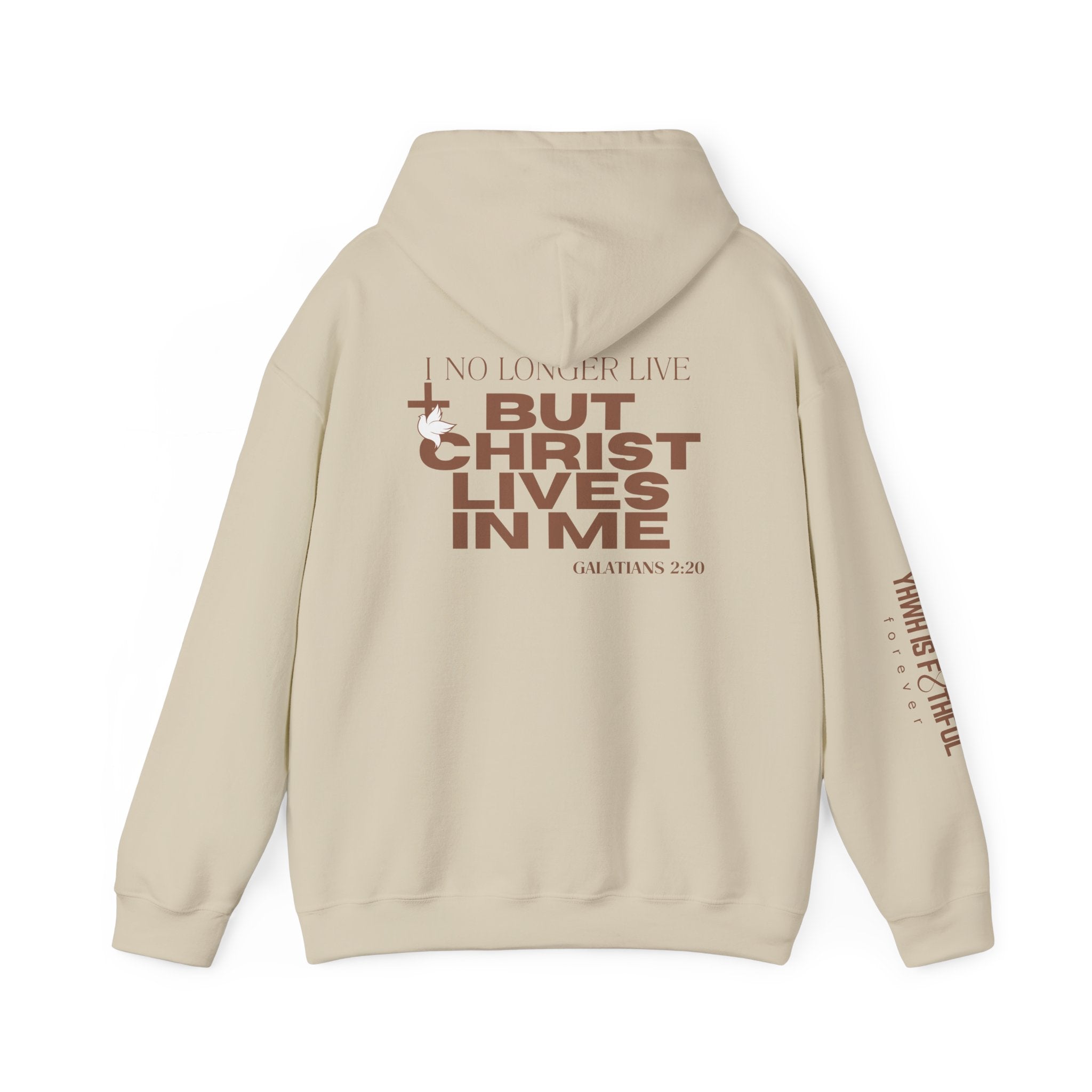 Made New in Christ Hoodie